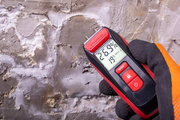 Best Local Mold Removal Service  in King Of Prussia, PA