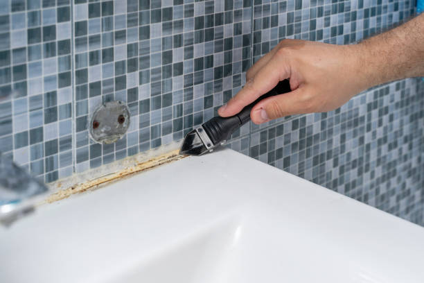 Best Black Mold Removal  in King Of Prussia, PA