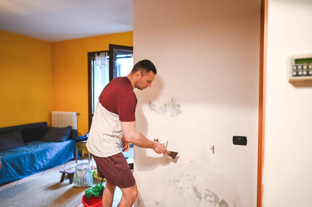 Best Residential Mold Removal  in King Of Prussia, PA